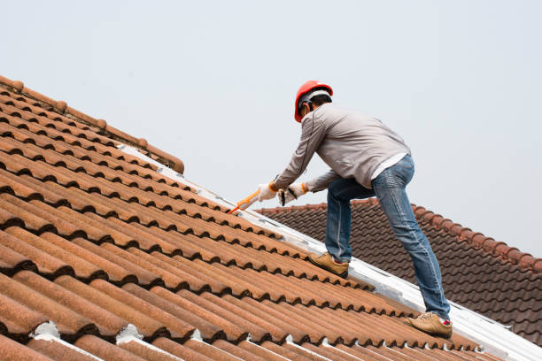 Best Roof Coating and Sealing  in Panther Valley, NJ