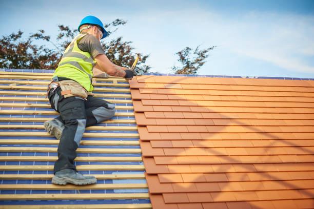 Best Asphalt Shingles Roofing  in Panther Valley, NJ